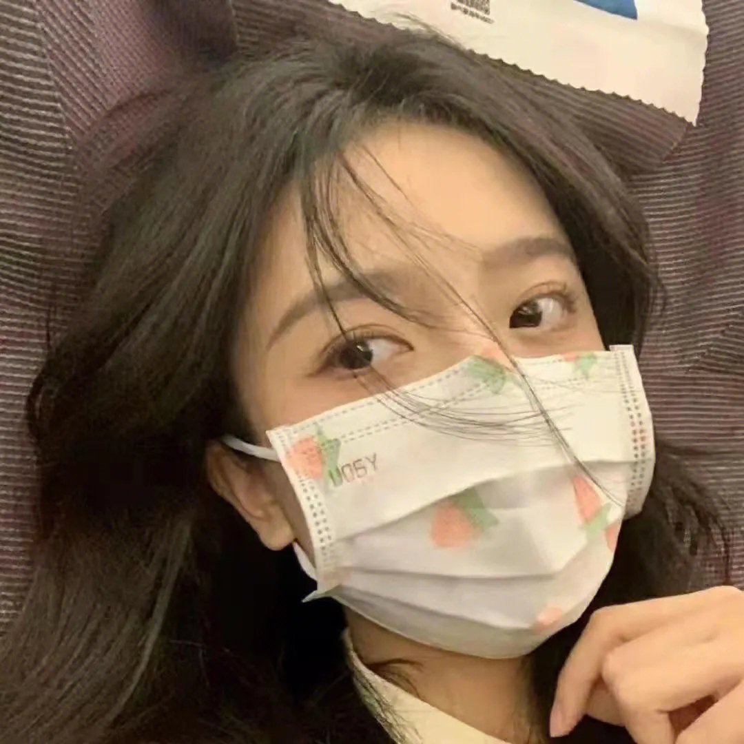 圣诞快乐:马达加斯加